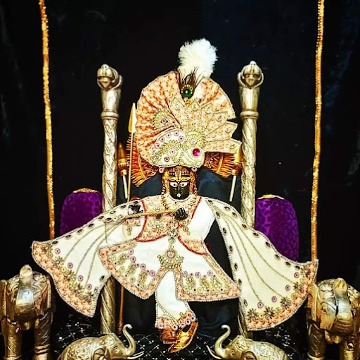 श्री चारभुजा नाथ जी के आज के दर्शन